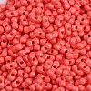 Baking Paint Glass Seed Beads X1-SEED-K010-A08-2