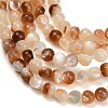 Natural Sea Shell Beads Strands SH-CBA93AD-02-2