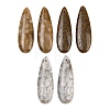 Natural Fossil Coral Pendants G-B187-01C-05-1