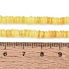 Natural Freshwater Shell Beads Strands SHEL-Q028-01C-4