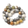 Natural African Opal Beads Strands G-B048-B03-04-4