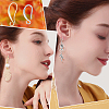 20Pairs 2 Style  Brass Earring Hooks KK-BBC0004-30-6