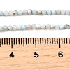 Natural Larimar Beads Strands G-G259-D13-2mm-5
