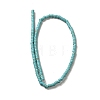 Synthetic Turquoise Dyed Beads Strands G-E594-20A-2