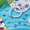 Natural Abalone Shell/Paua Shell Beads SHEL-BBC0001-01-5