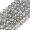 Natural Labradorite Beads Strands G-L642-F07-6mm-2