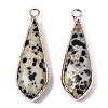 Natural Dalmatian Jasper Pendants G-S359-319C-2