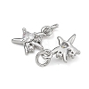 SHEGRACE Brass Micro Pave Clear Cubic Zirconia Charms XGRQ2O889-419P-2