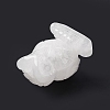 Natural Quartz Crystal Display Decorations DJEW-G031-02C-4