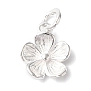 925 Sterling Silver Charms STER-M120-01D-S-1