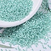 MIYUKI Delica Beads SEED-MY11-DB0626-1