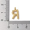 316 Surgical Stainless Steel Pendants & Charms STAS-D031-01R-3