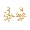 Brass Pendants KK-L275-58G-01-1