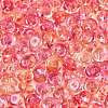 Transparent Colours Glass Seed Beads SEED-Q042-01A-A05-3