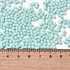 Opaque Colours Luster Glass Seed Beads X1-SEED-B001-01A-08-4