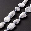 Natural Howlite Beads Strands G-B024-07-4