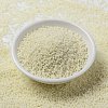MIYUKI Round Rocailles Beads SEED-G009-RR0491-2