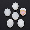 Natural Freshwater Shell Cabochons SHEL-S278-048A-1