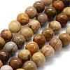 Natural Fossil Coral Beads Strands X-G-G763-12-6mm-5