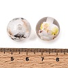 Transparent Resin Beads RE-CBA5A76-02-3