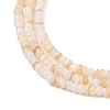 Natural Freshwater Shell Beads Strands SHEL-P017-01A-10-3