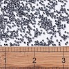 MIYUKI Delica Beads SEED-JP0008-DB0306-4
