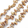 Natural Keshi Pearl Beads Strands PEAR-S021-013B-04-1