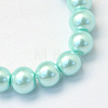 Baking Painted Glass Pearl Bead Strands HY-Q003-3mm-45-2