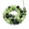 Natural Quartz Beads Strands G-N355-10mm-02-2