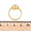 Natural Amazonite Finger Rings with Brass Findings G-H353-04G-03-4