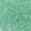 8/0 Glass Seed Beads X1-SEED-A015-3mm-2219-2