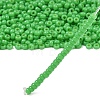 MIYUKI Round Rocailles Beads X-SEED-G007-RR4476-4