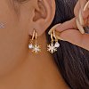 Snowflake Zinc Alloy Enamel Hoop Earrings FS-WG1295B-06-1
