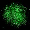 Luminous Glass Seed Beads X1-SEED-A033-07I-5