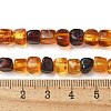 Natural Amber Beads Strands G-K387-E02-01-5