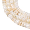 Natural Freshwater Shell Beads Strands SH-CBA2978-05A-2