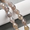 Natural Grey Agate Beads Strands G-P520-B08-01-2