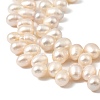 Natural Cultured Freshwater Pearl Beads Strands PEAR-I007-04E-01A-4