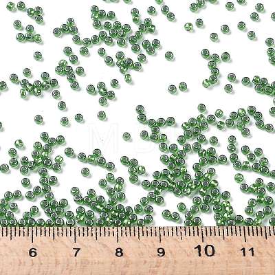 TOHO Round Seed Beads SEED-JPTR11-1006-1