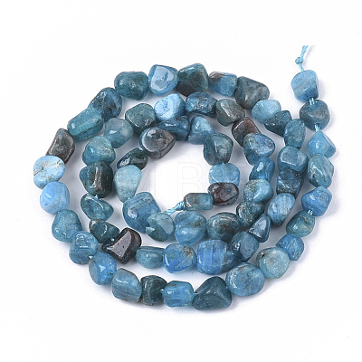 Natural Apatite Beads Strands X-G-S363-046A-1