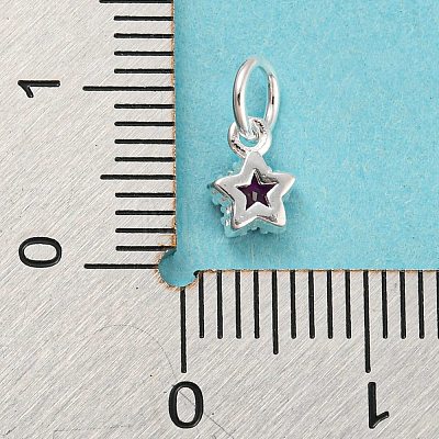 925 Sterling Silver Charms STER-G035-01C-01-1