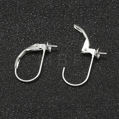 925 Sterling Silver Hoop Earrings STER-P032-07S-1