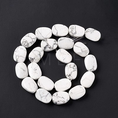 Natural Howlite Beads Strands G-M208-13-1