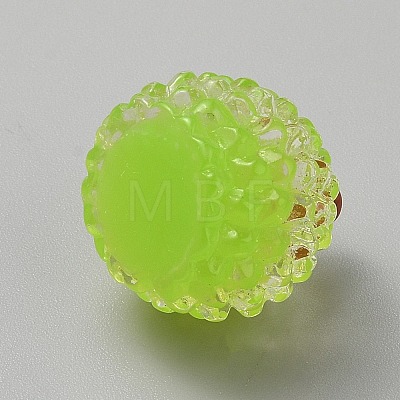 Fruit Transparent Resin Cabochons CRES-CJC0009-13E-1
