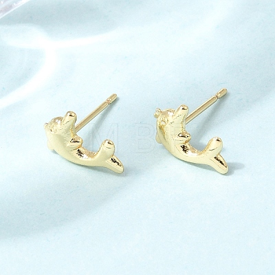 Brass Stud Earrings for Women EJEW-A166-01G-1
