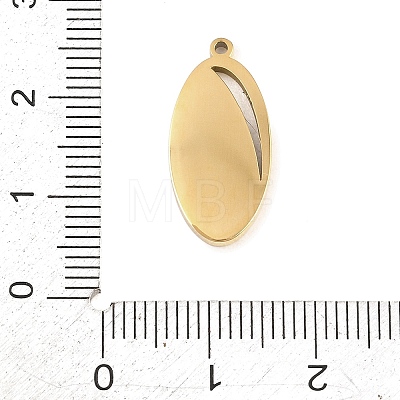 304 Stainless Steel Enamel Pendants STAS-P447-05D-G-1
