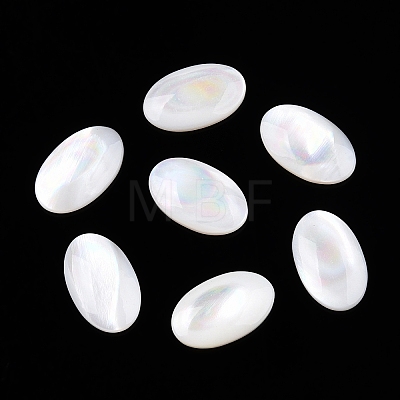 Natural White Shell Cabochons SSHEL-T017-06-1