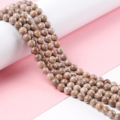 Natural Maifanite/Maifan Stone Beads Strands G-P451-01B-B-1