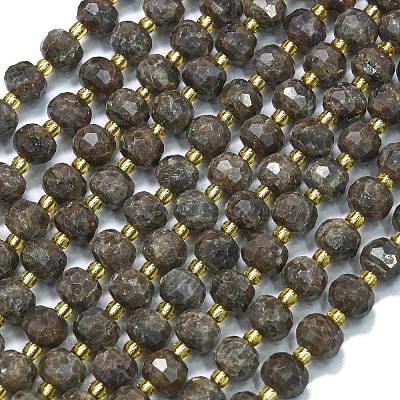 Natural Labradorite Beads Strands G-K389-E39-01-1