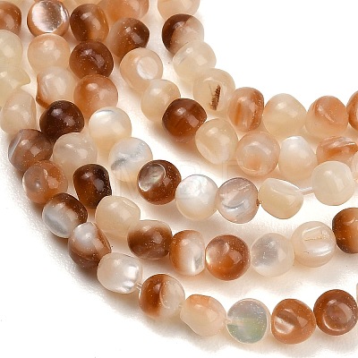 Natural Sea Shell Beads Strands SH-CBA93AD-02-1